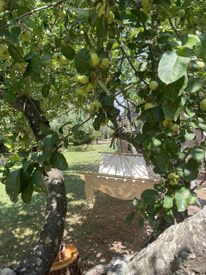 Casale La Civetta Bed & Breakfast Larino Ngoại thất bức ảnh